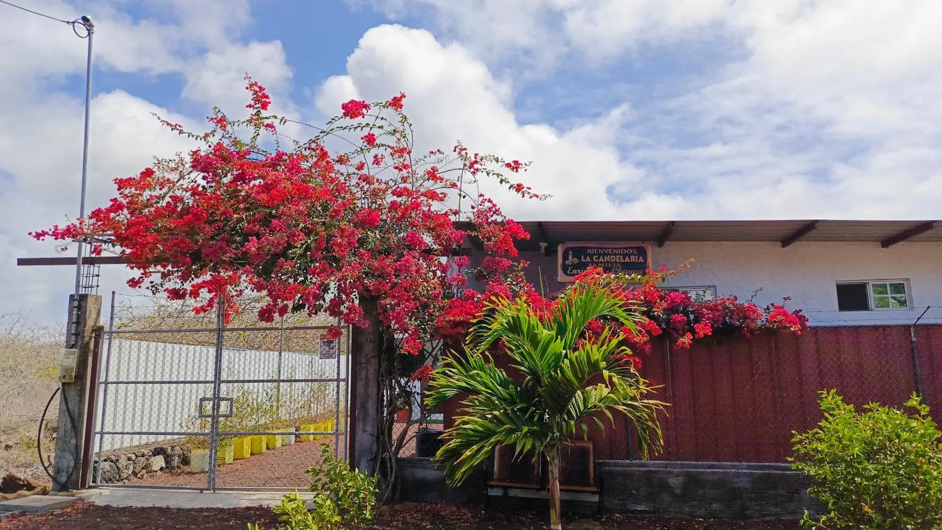 La Candelaria, Casa De Huespedes Con Bano Privado Puerto Baquerizo Moreno 0*,
