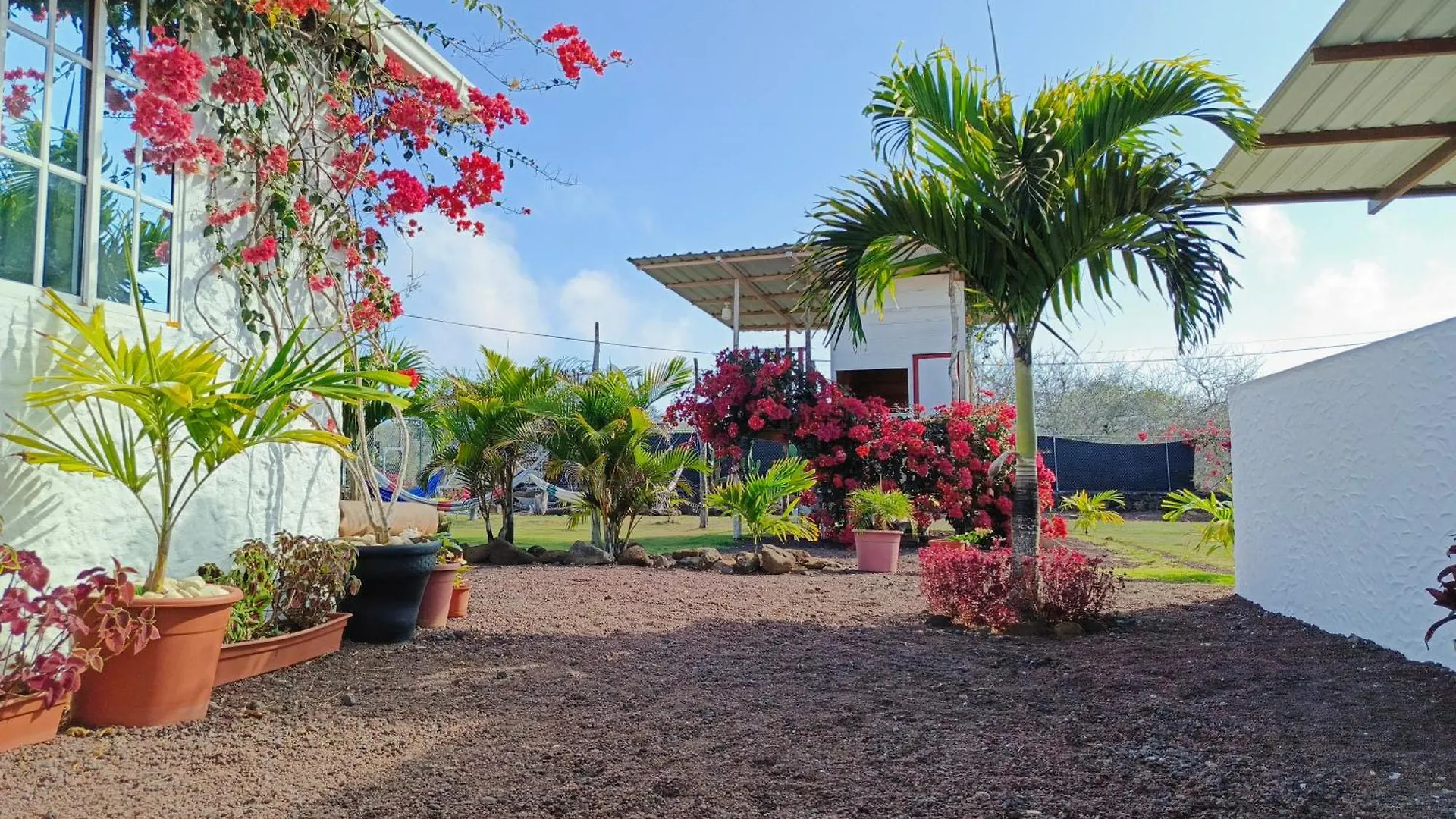 La Candelaria, Casa De Huespedes Con Bano Privado Puerto Baquerizo Moreno Guest house