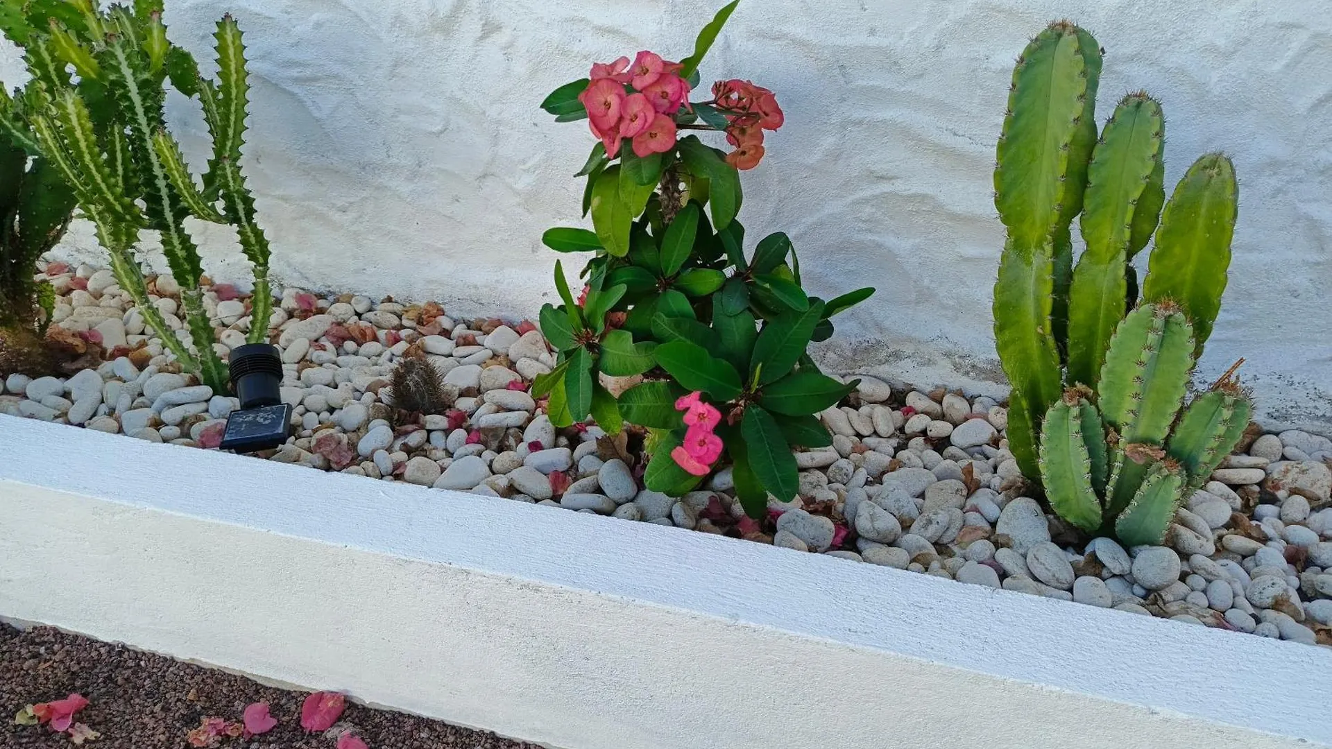 La Candelaria, Casa De Huespedes Con Bano Privado Puerto Baquerizo Moreno 0*,  Ecuador