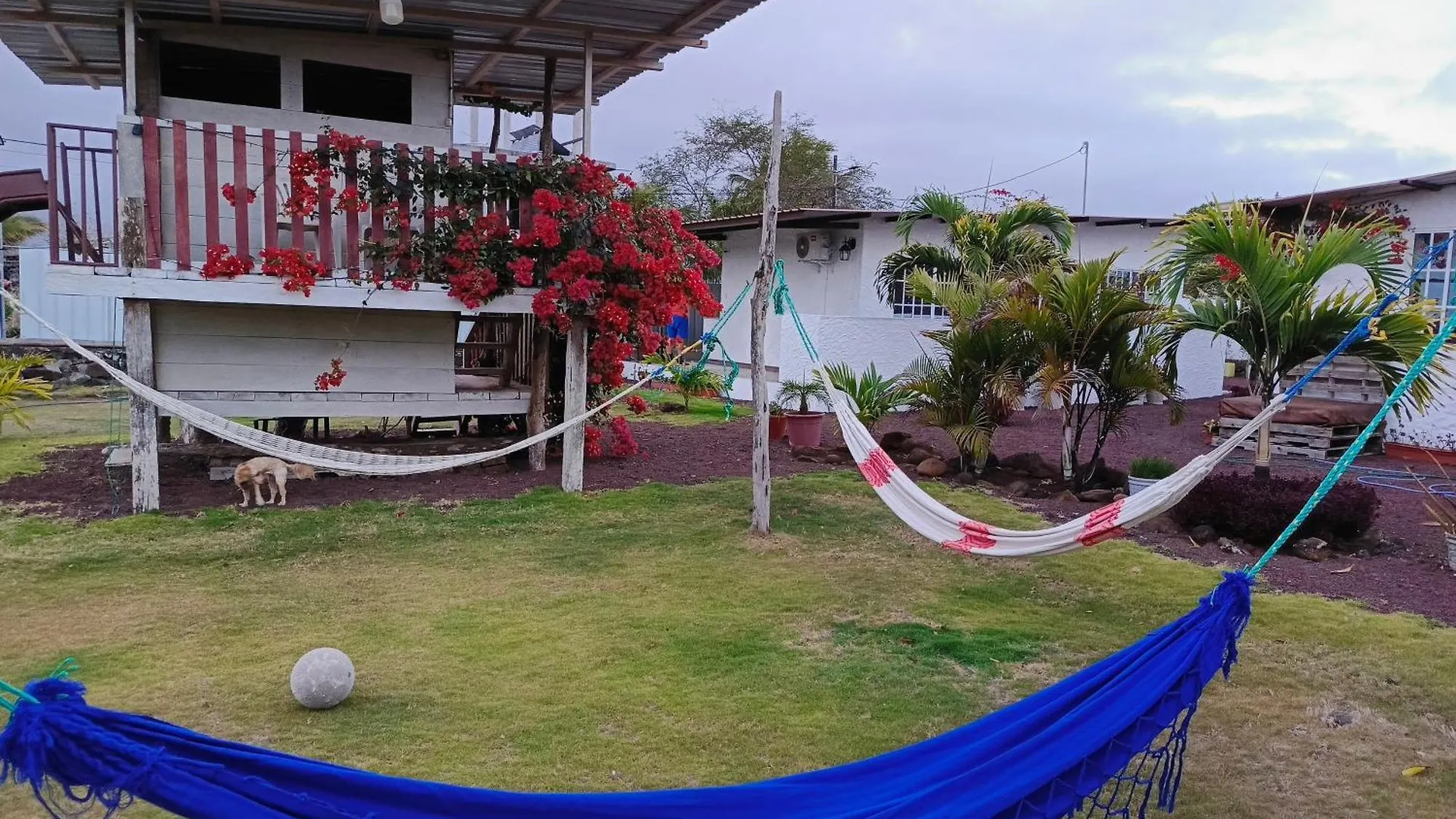 La Candelaria, Casa De Huespedes Con Bano Privado Puerto Baquerizo Moreno 0*,  Ecuador