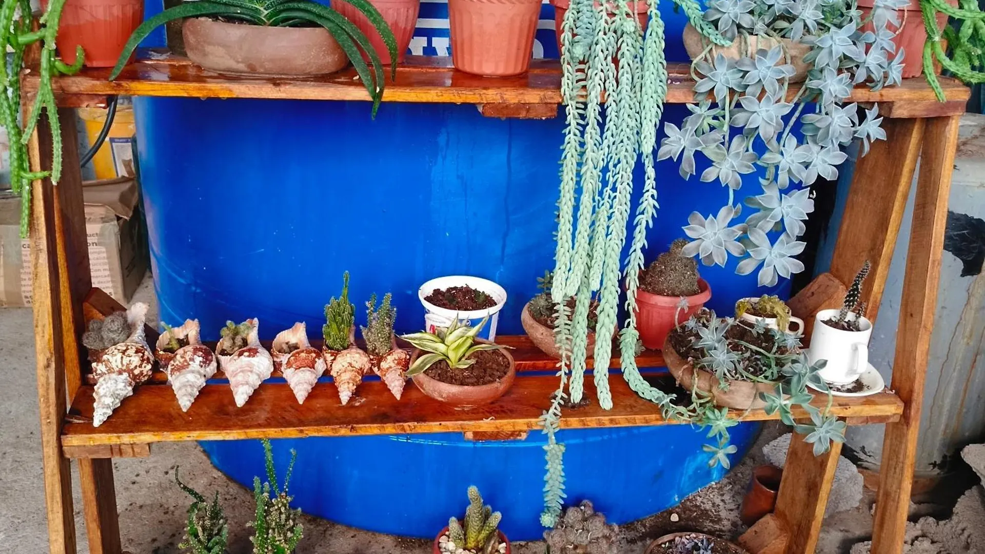 La Candelaria, Casa De Huespedes Con Bano Privado Puerto Baquerizo Moreno Ecuador